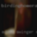 Adult swinger resort nudist