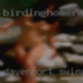 Davenport swingers