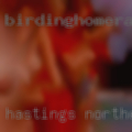 Hastings Northeast swingers