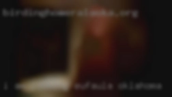I am looking for more than Eufaula, Oklahoma just sex.