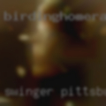 Swinger Pittsburgh