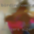 Swingers Albertville
