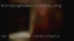 We enjoy all sorts of kink near Carmichaels and fun.